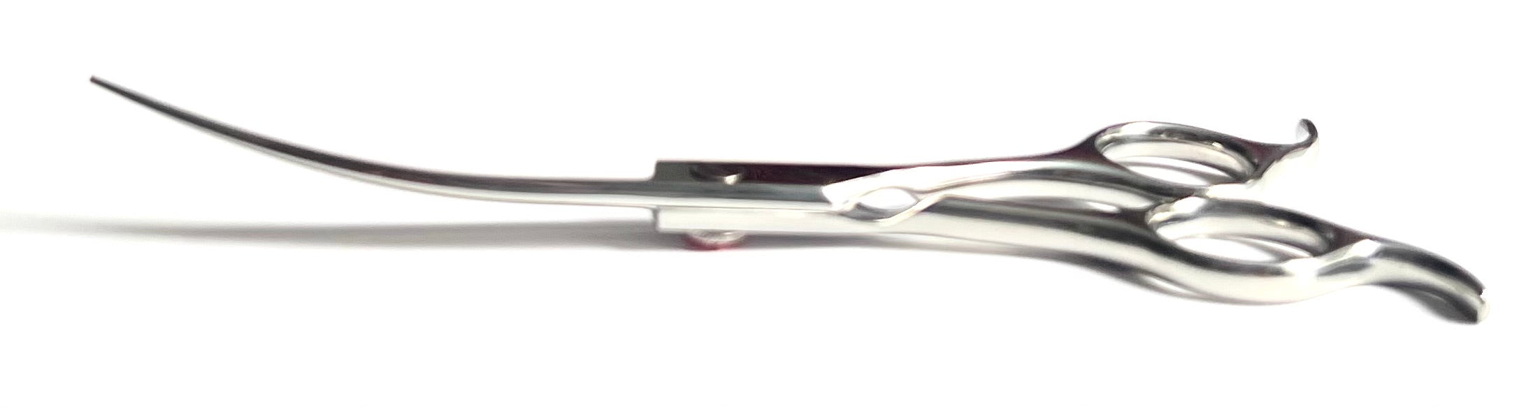 6.5" reversible curved dog grooming scissor-curved scissor by Abbfabb Grooming Scissors 